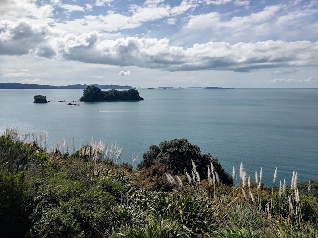 Cathedral Cove Viewing Deck