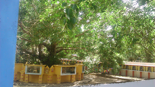 Dharmalankara Temple Bodhi