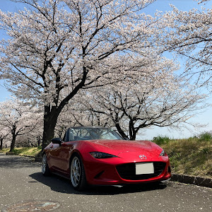 ロードスター ND5RC