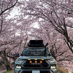 RAV4 MXAA54