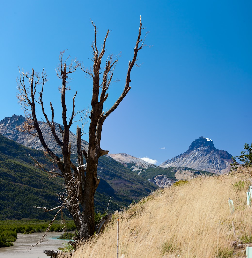 Патагония: Carretera Austral - Фицрой - Торрес-дель-Пайне. Треккинг, фото.