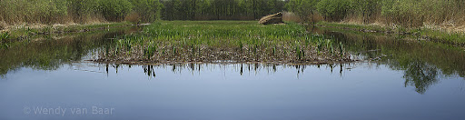 46 x 179 cm