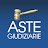 Aste Giudiziarie icon