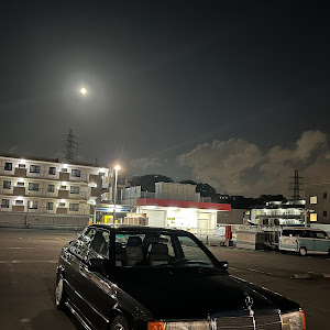 190シリーズ W201