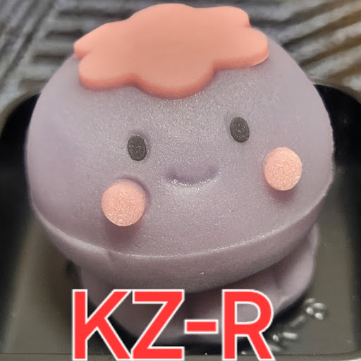 K-ZRのプロフィール画像