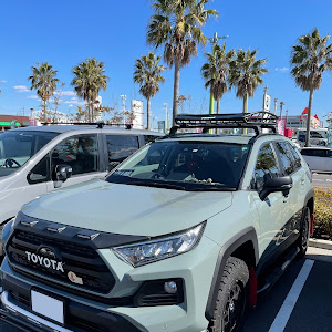 RAV4 MXAA54