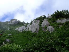 尾根の様子