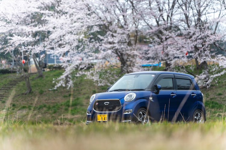 キャストの桜と愛車に関するカスタム事例の投稿画像1枚目