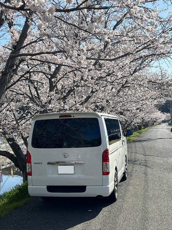 の投稿画像2枚目