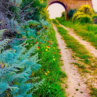 La dove c'era la ferrovia ora c'è una strada di 