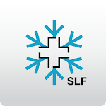 Cover Image of 下载 White Risk - SLF Avalanche App  APK