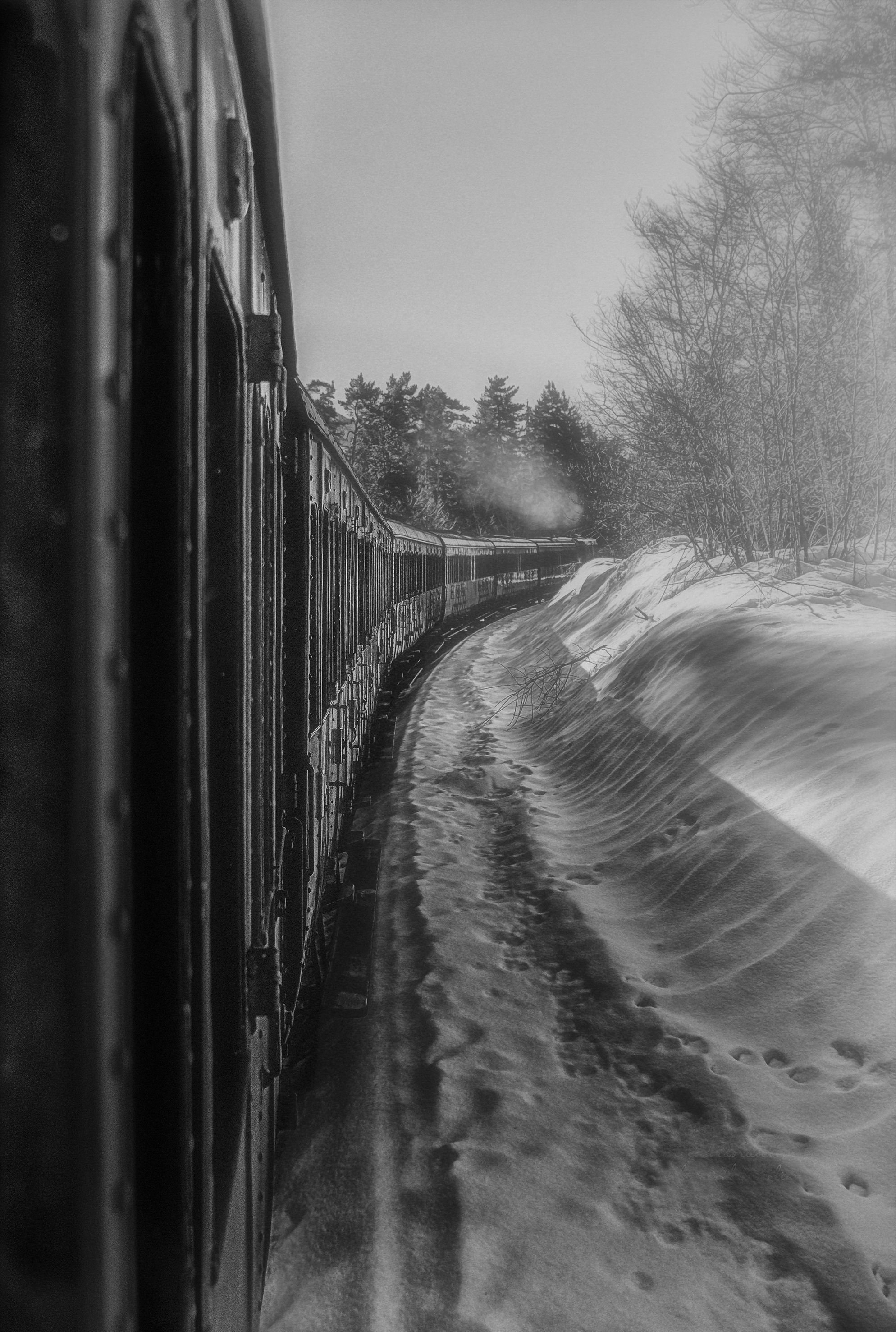 Inverno sulla Transiberiana d'Italia di Elebrusco