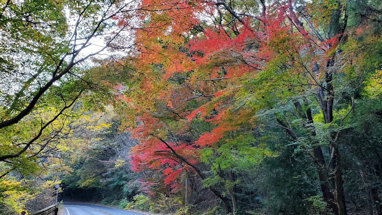 の投稿画像10枚目