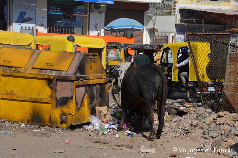 bikaner