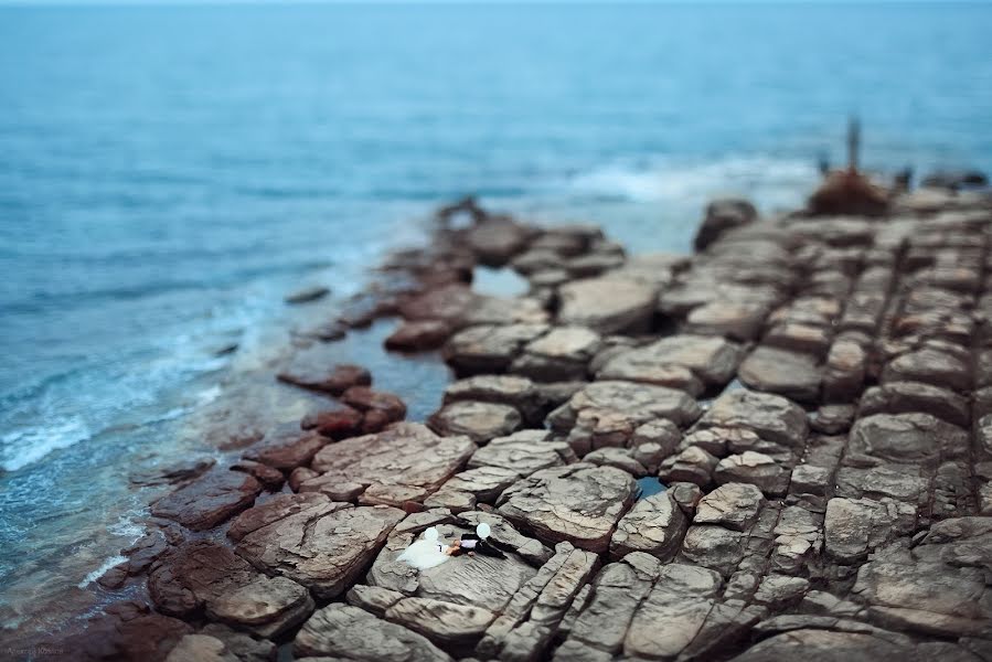 Düğün fotoğrafçısı Aleksey Kozlov (kozlove). 19 Mayıs 2015 fotoları