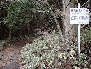 作業道 七ツ平線