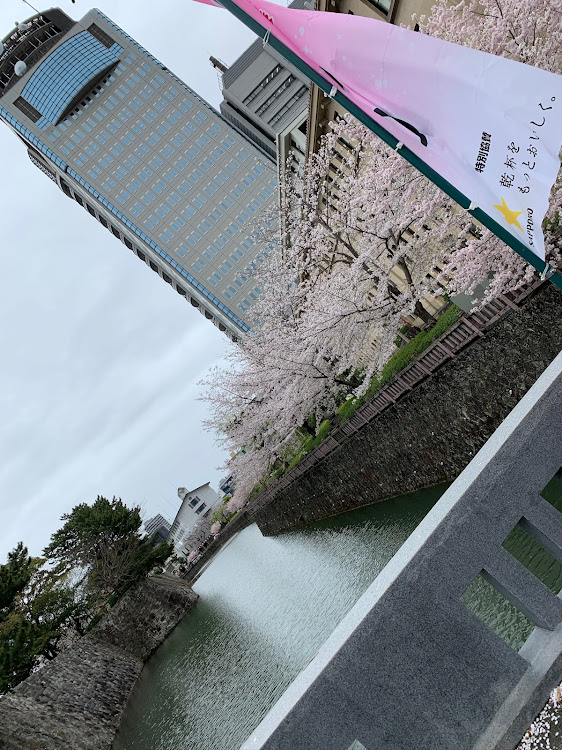 GTOのしゃちおさんが投稿したカスタム事例の投稿画像3枚目
