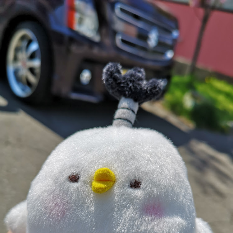 ワゴンRスティングレーの今日も一日お疲れ様でした。・八重桜？？？・ﾐﾗｰｳｨﾝｶｰﾎﾟｼﾞｼｮﾝﾃﾞｲﾗｲﾄに関するカスタム事例の投稿画像5枚目