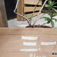 三一花好商行