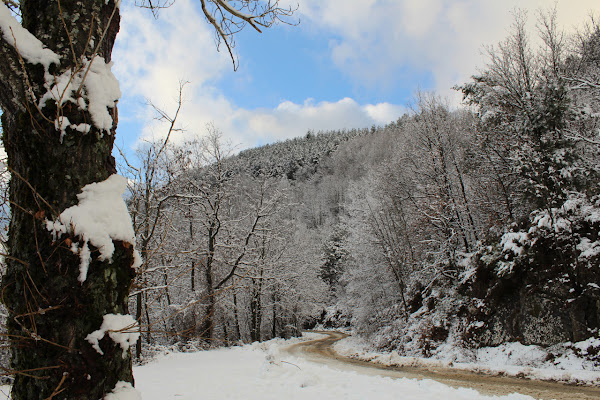 Let it snow di Aurafico_