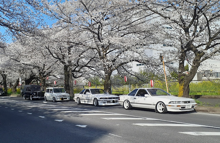 の投稿画像7枚目