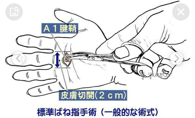 の投稿画像5枚目