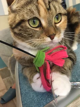 ❤️❤️❤️