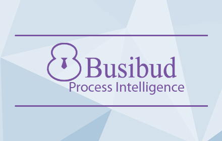 Busibud : Process Intelligence small promo image