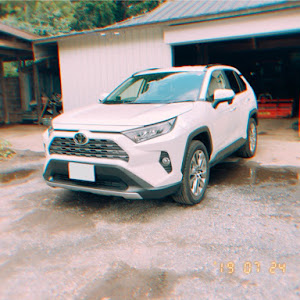 RAV4