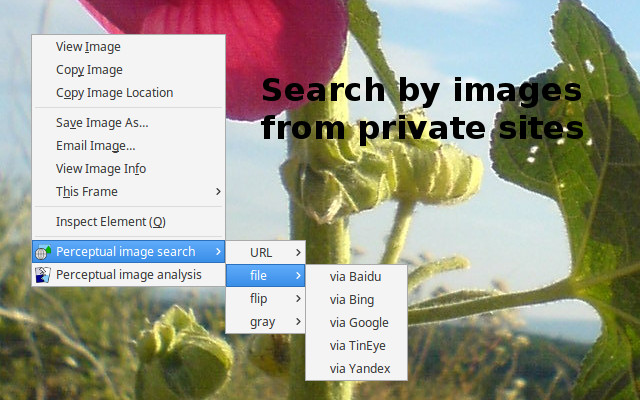 Perceptual image search chrome extension