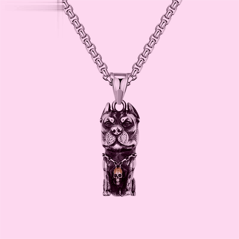 Title 2, Ins Titanium stalen hiphop ketting voor heren. ...