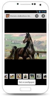 Horses slideshow & Wallpapers Screenshots 2