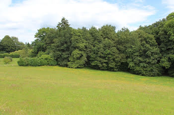 terrain à Saint-Priest-Taurion (87)