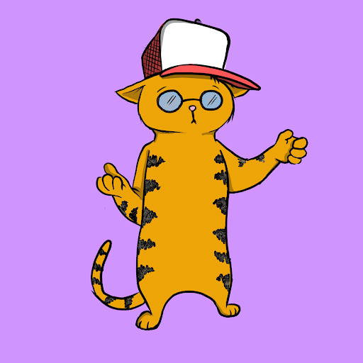 Blazed Cat #6495