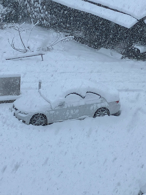 320i Mスポーツの大雪警報・雪に関するカスタム事例の投稿画像1枚目