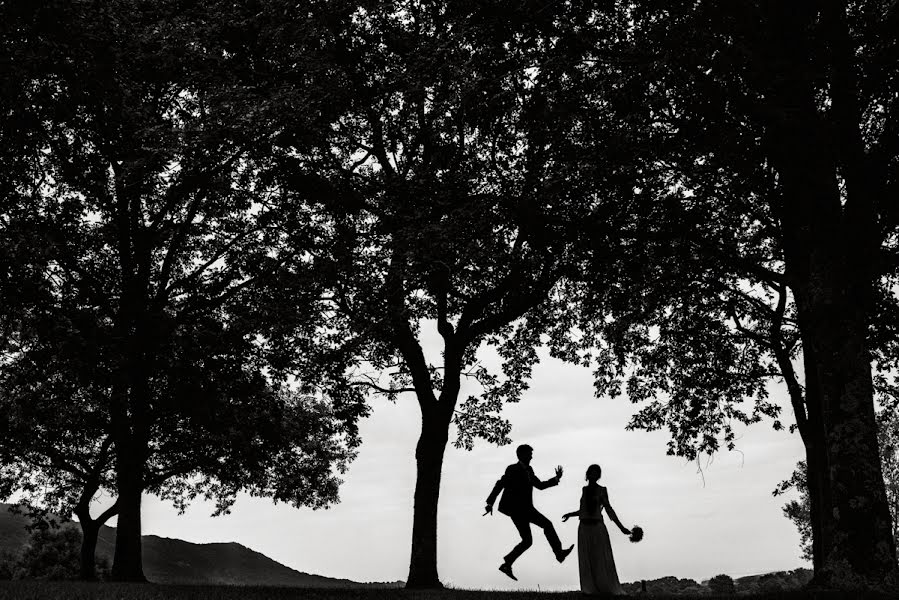 Fotógrafo de bodas Monika Zaldo (zaldo). Foto del 22 de diciembre 2016