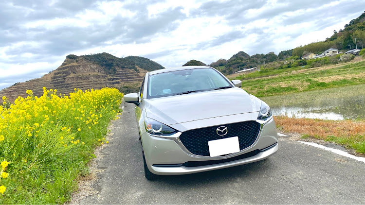 MAZDA2のMAZDA2・mazda2・プラチナクォーツメタリック・菜の花と愛車・ドライブに関するカスタム事例の投稿画像1枚目