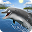 Dolphins live wallpaper Download on Windows
