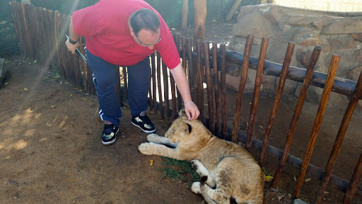 Lion Park South Africa 2015