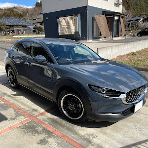 CX-30 DMEP