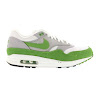 air max 1 patta 5th anniv green