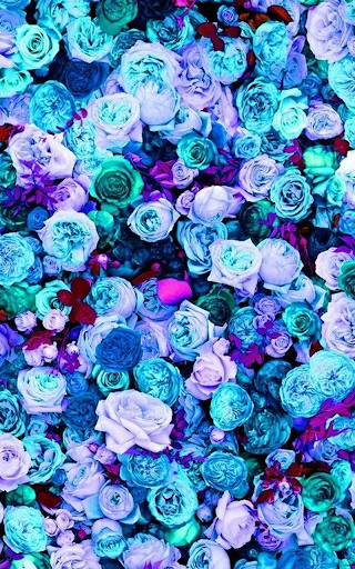 Blue Rose Live Wallpaper