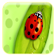 Download Beetle Wallpaper For PC Windows and Mac 2.0