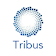 30D TRIBUS icon