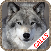 Wolf Howl  Icon