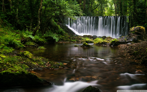 Forest Falls Preview 1