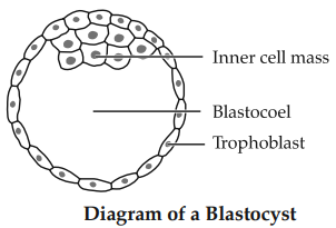 Solution Image