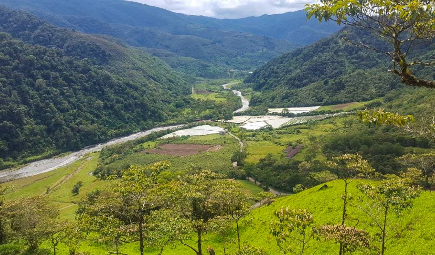 Terrain Paraíso