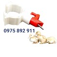 Máng Uống Cho Ngan Vịt , Ngan