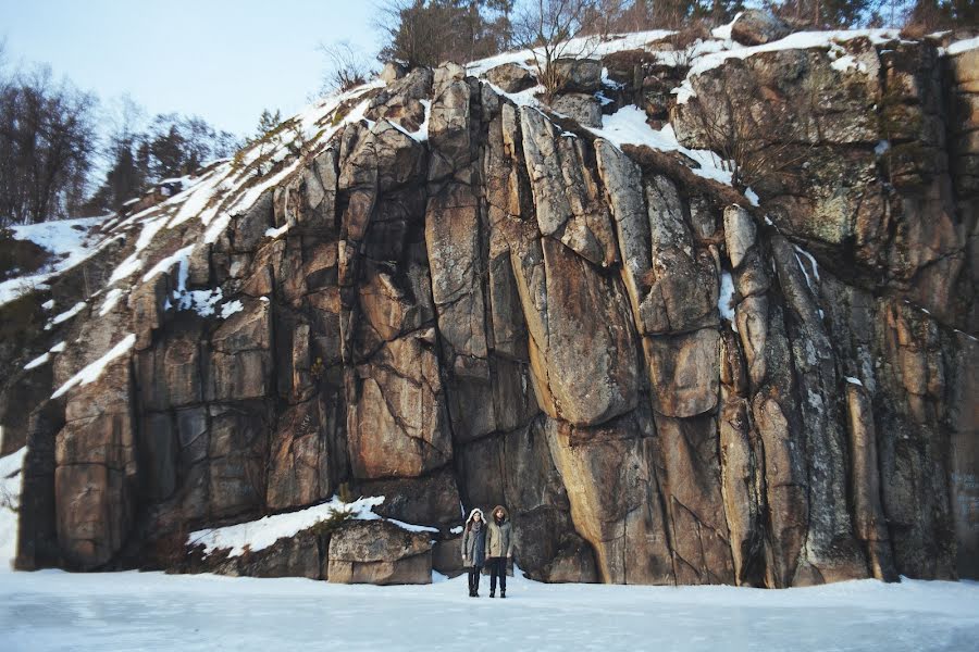 Wedding photographer Sergey Alekseev (sergyalexeev). Photo of 5 February 2014